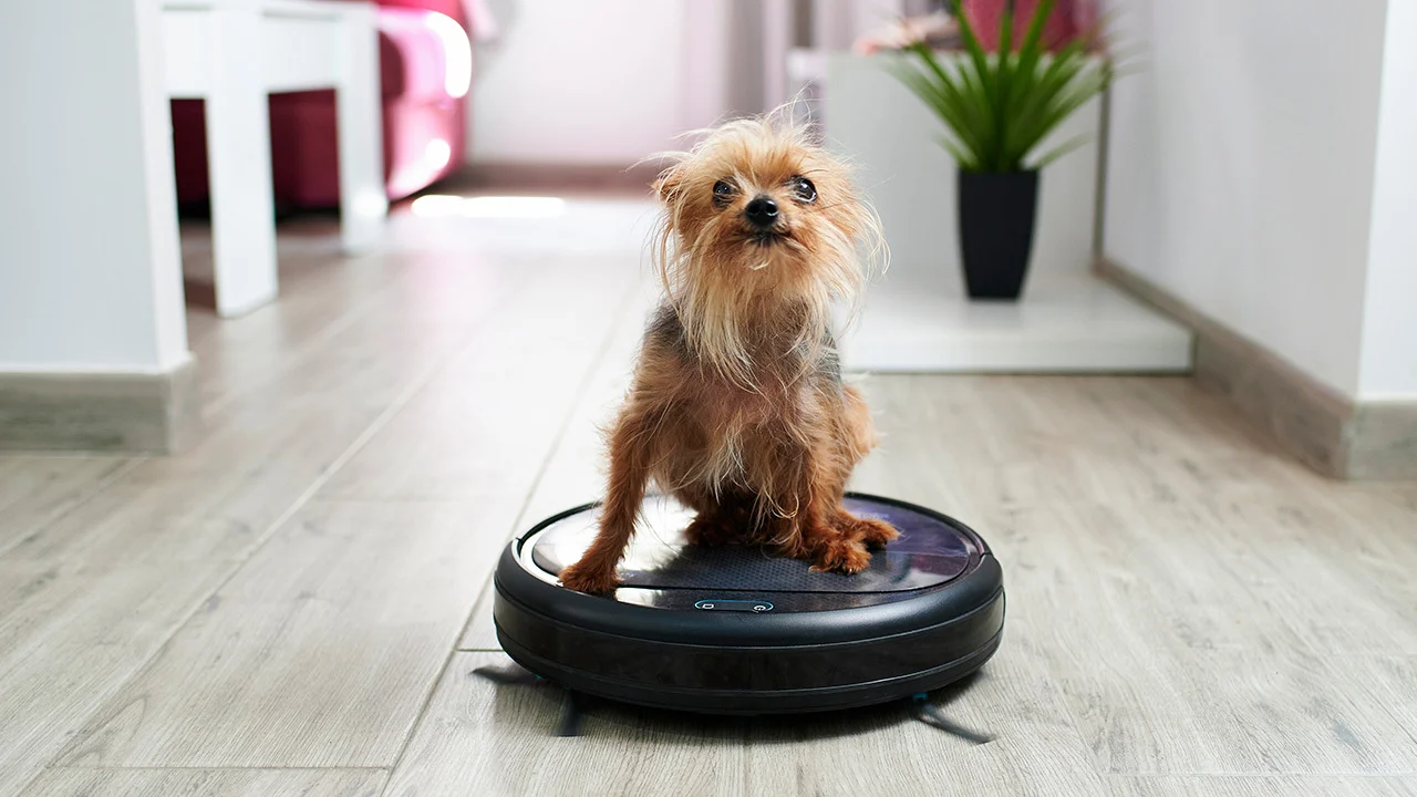 Best Robot Vacuum for pet hair 2025